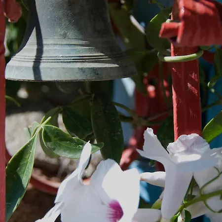 El Jardin De Suenos Casa di campagna Rodalquilar