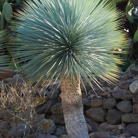 Casa di campagna El Jardin De Suenos Rodalquilar