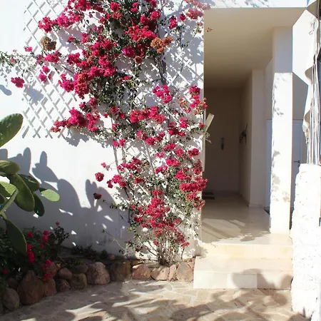 El Jardín De Sueños * Rodalquilar