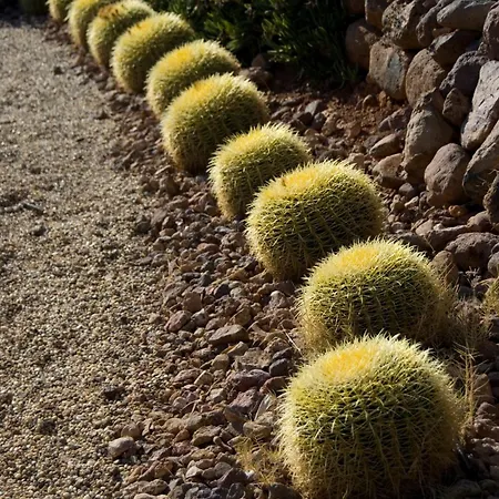 El Jardín De Sueños Rodalquilar