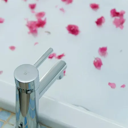 El Jardín De Sueños *